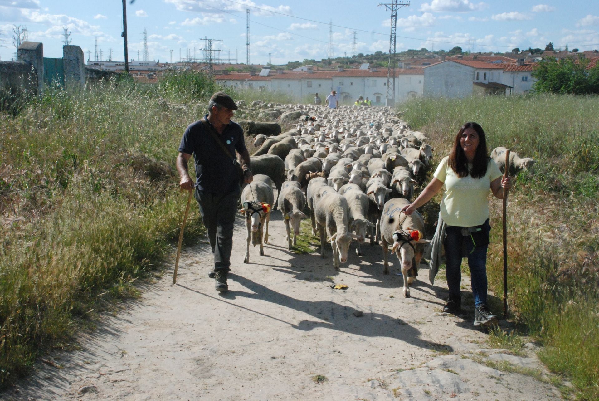 Calurosa despededida a José Manuel Sánchez, con sus 1.700 ovejas, camino de León