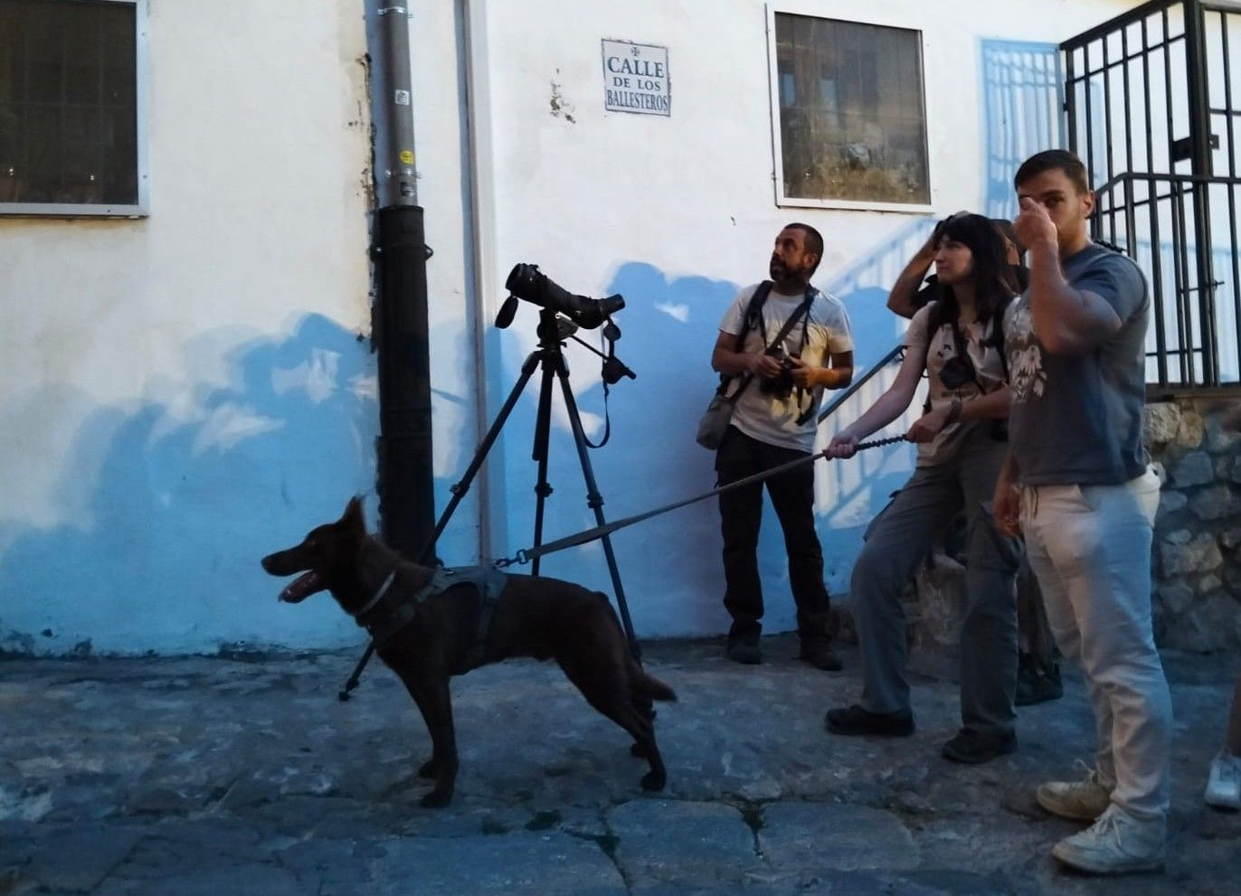 Imagen principal - Momentos del festival