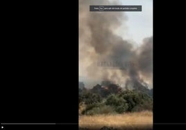 Un incendio forestal obliga a activar el nivel 1 de peligrosidad