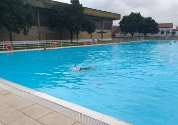 Piscina municipal de Trujillo