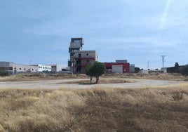 Zona donde se quiere hacer la base del plan Infoex