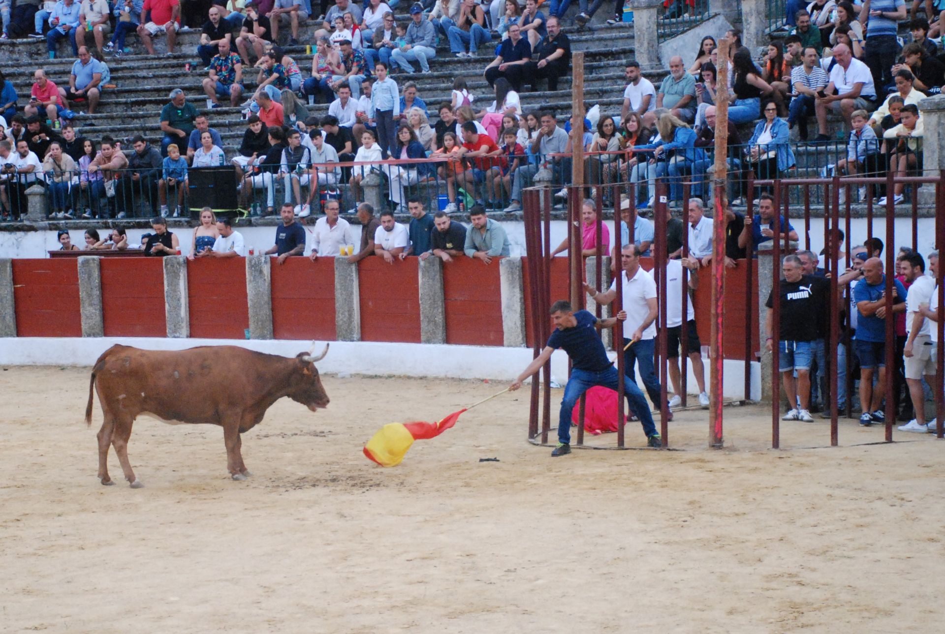 Un momento de la capea de ayer.