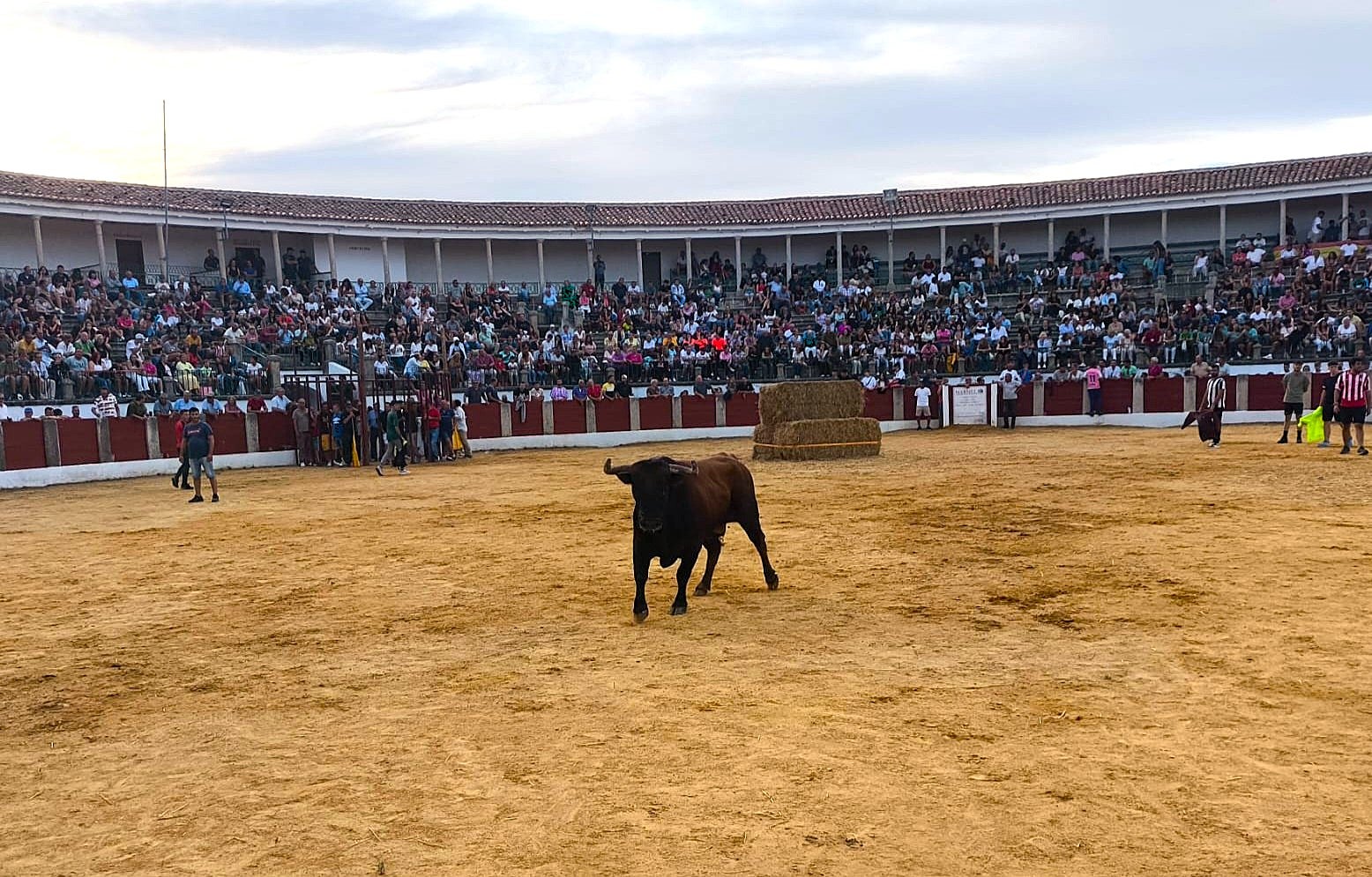 Una de las reses que salió al ruedo el pasado lunes.