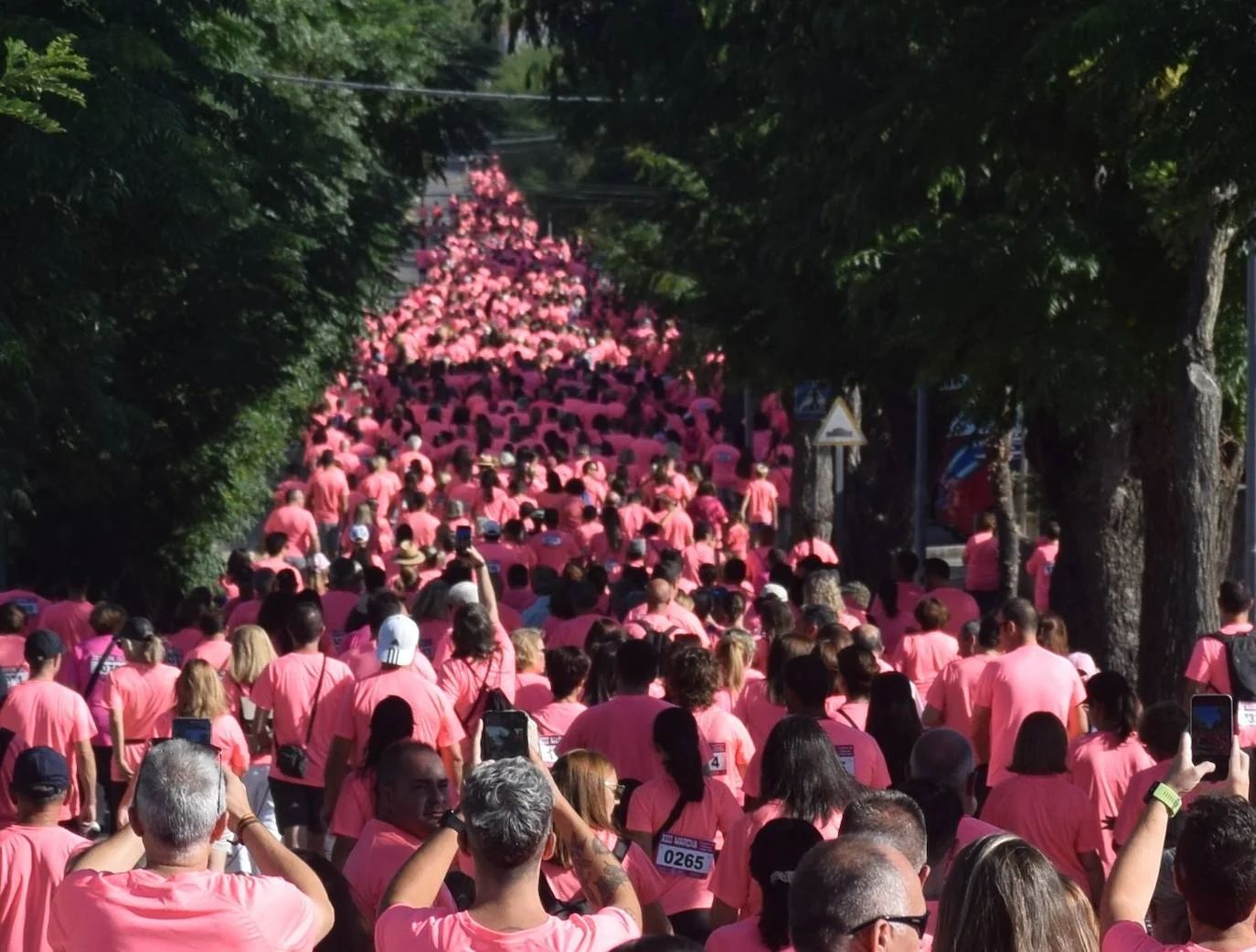 La marea rosa de una edición anterior