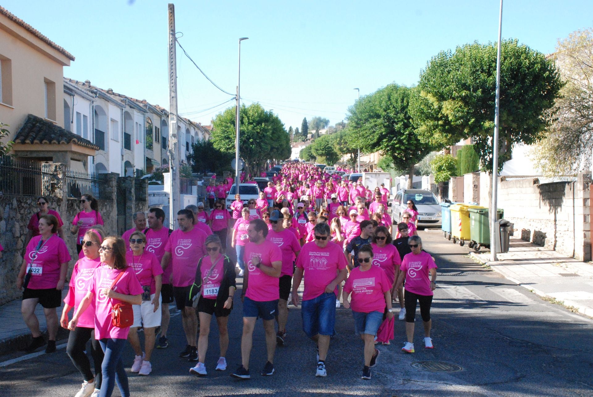 El rosa invade las calles para luchar contra el cáncer