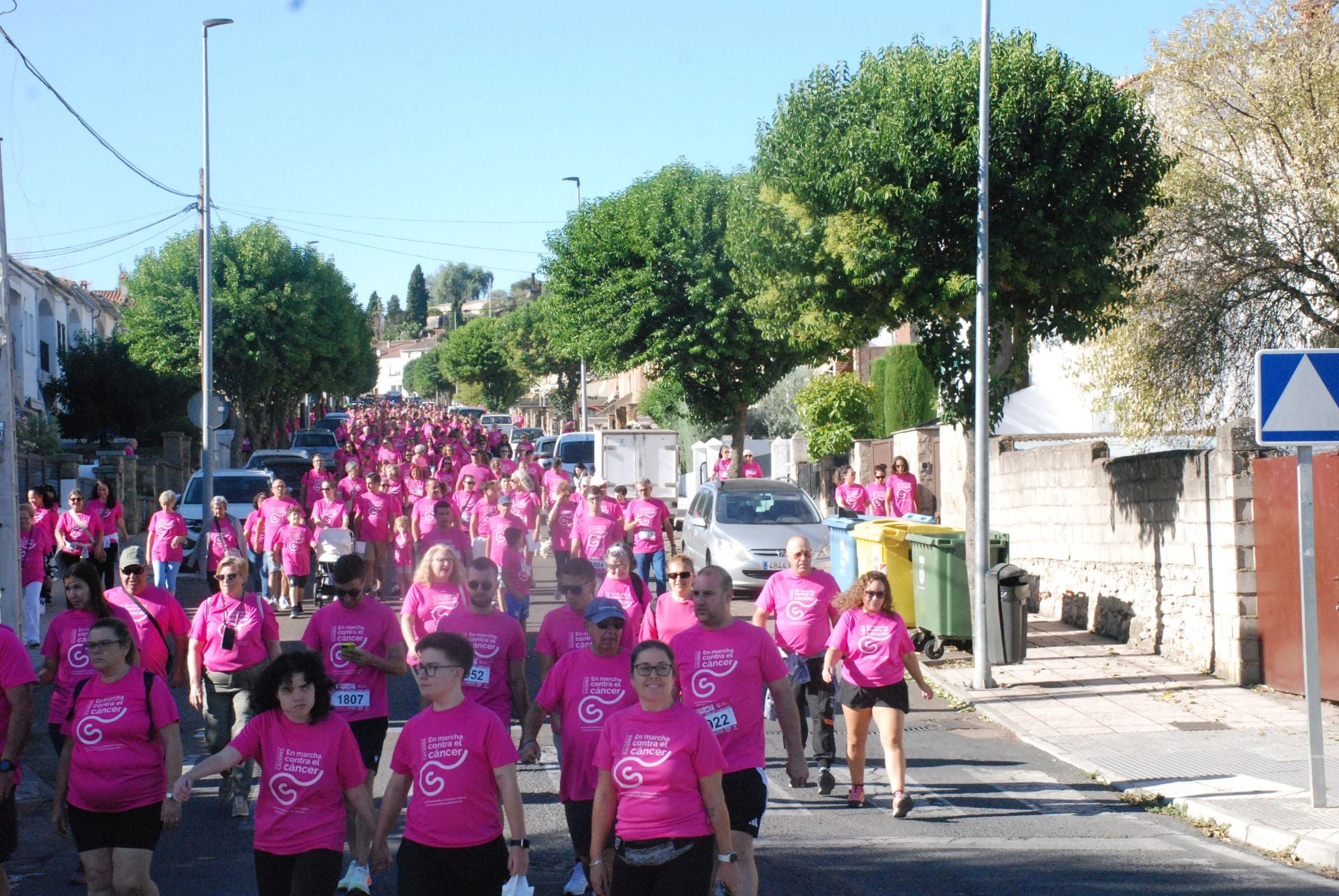 El rosa invade las calles para luchar contra el cáncer