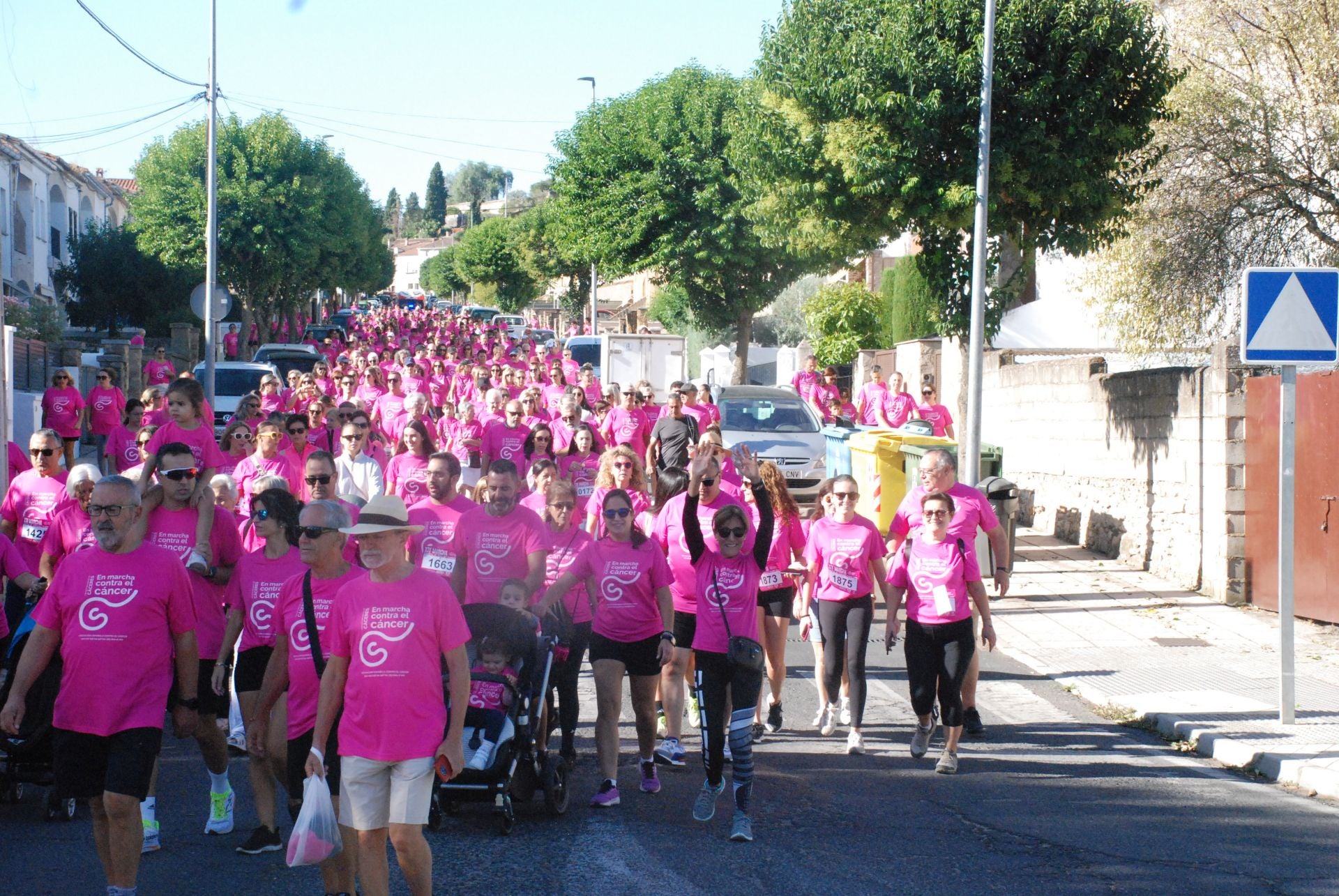 El rosa invade las calles para luchar contra el cáncer