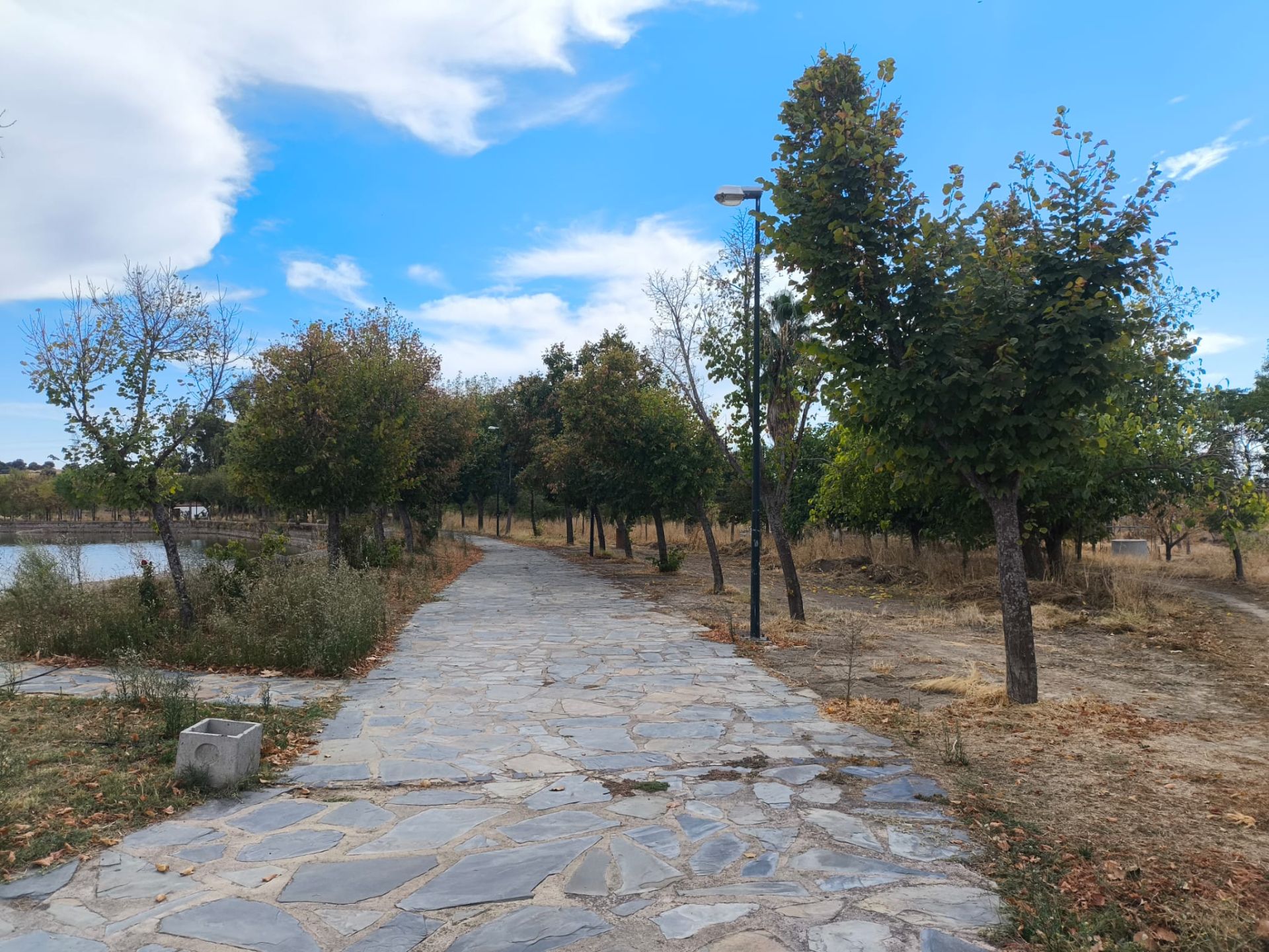 El PSOE critica el estado de calles, así como de parques y jardines.