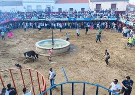 Un momento de la capea del sábado.