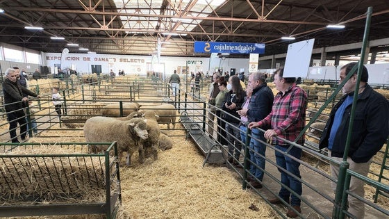 La Institución Ferial busca personal para la Feria Agroganadera