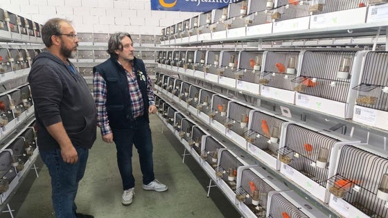 El Mercado Regional acoge una gran exposición de 2.400 aves, con una gran variedad