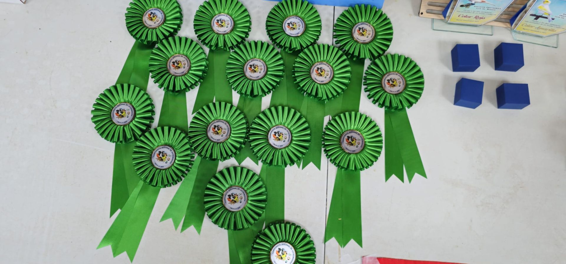 Premiados en un certamen con gran aceptación