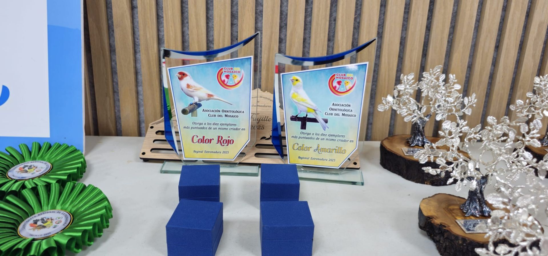 Premiados en un certamen con gran aceptación