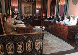 Juan Manuel Mariscal, en primer término en un pleno.