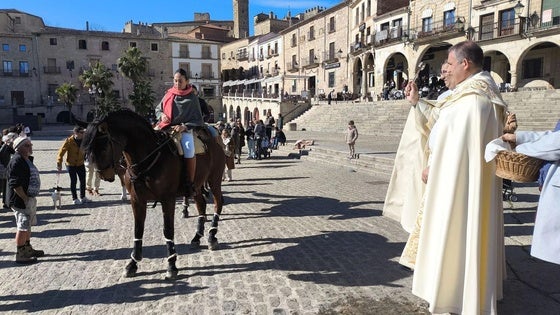 San Antón reunirá a decenas de animales en la plaza Mayor el 18 de enero