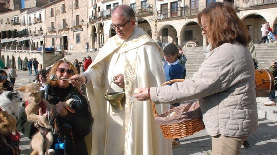 Descenas de personas celebran San Antón en la plaza Mayor con sus mascotas