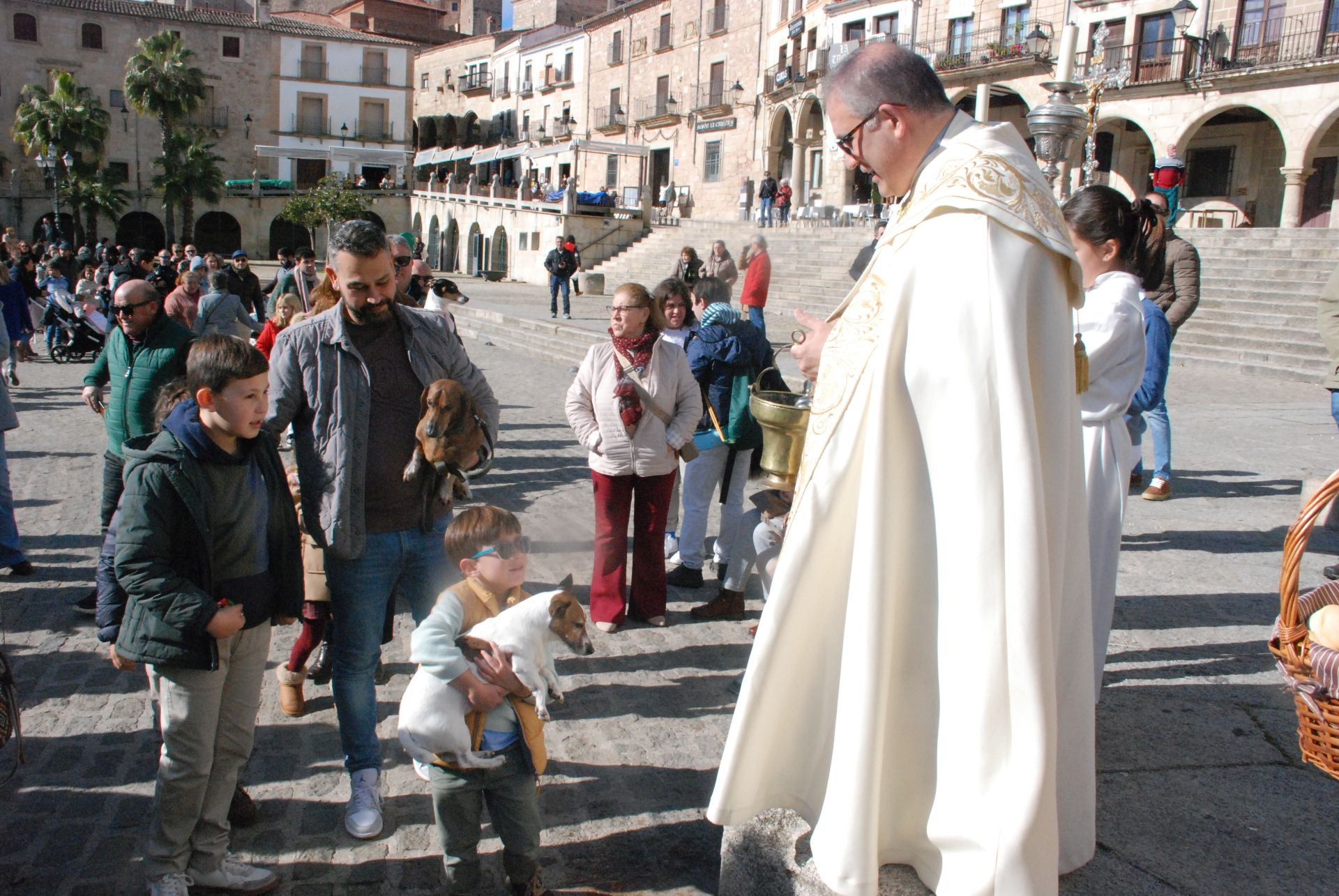 Bendición de los animales por San Antón