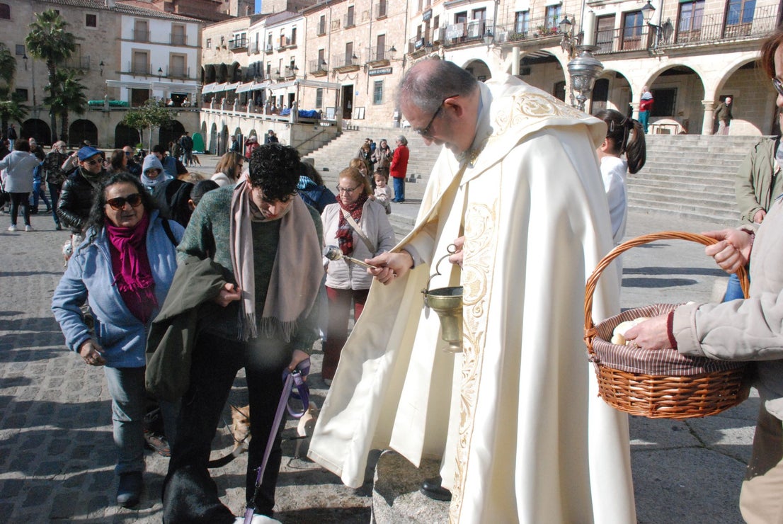 Bendición de los animales por San Antón