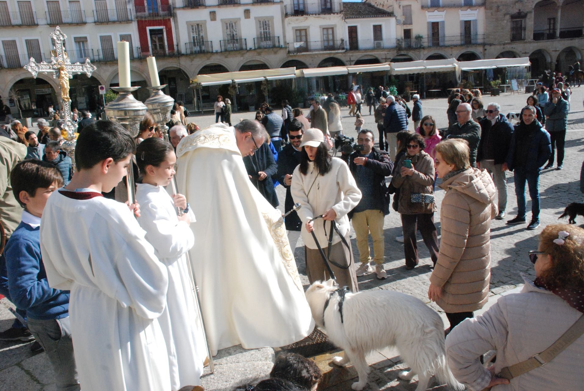 Bendición de los animales por San Antón
