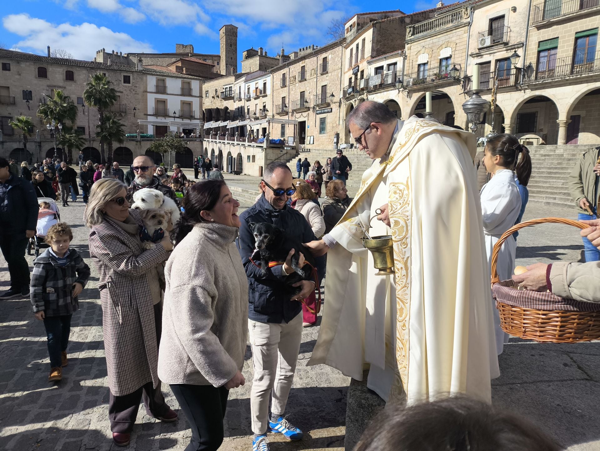 Bendición de los animales por San Antón