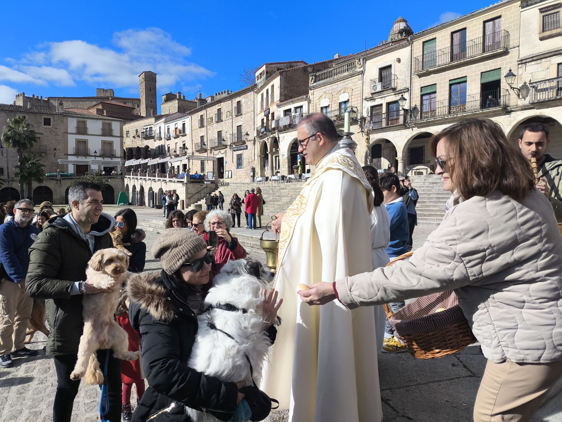 Bendición de los animales por San Antón