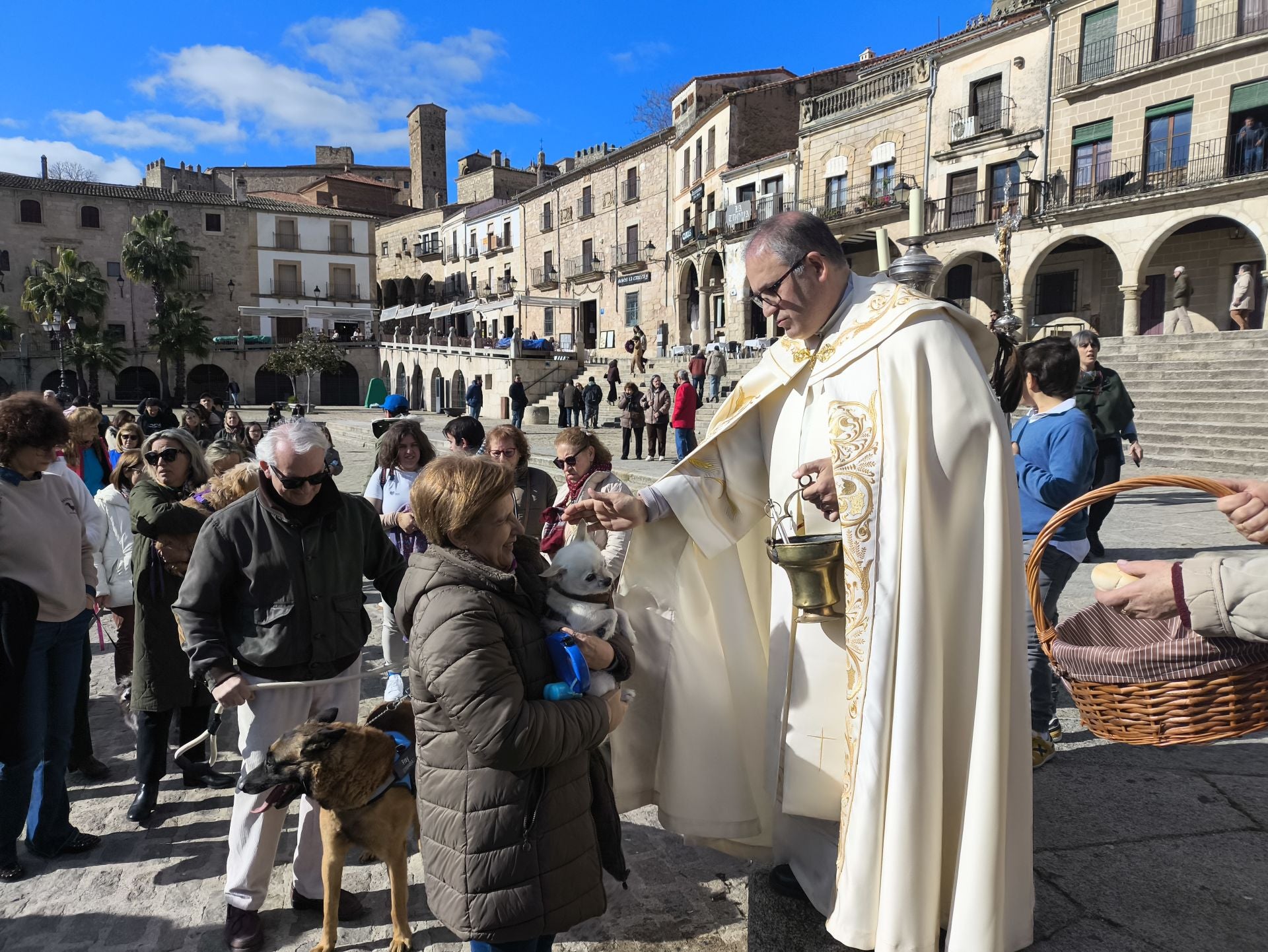 Bendición de los animales por San Antón