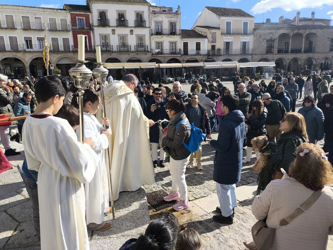 Bendición de los animales por San Antón