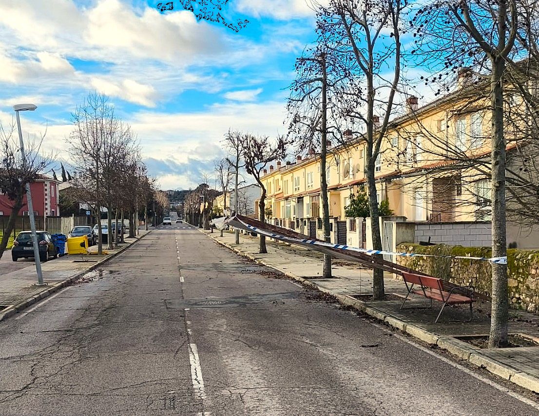 Imagen secundaria 1 - El temporal deja árboles caídos, carteles doblados y cornisas dañadas