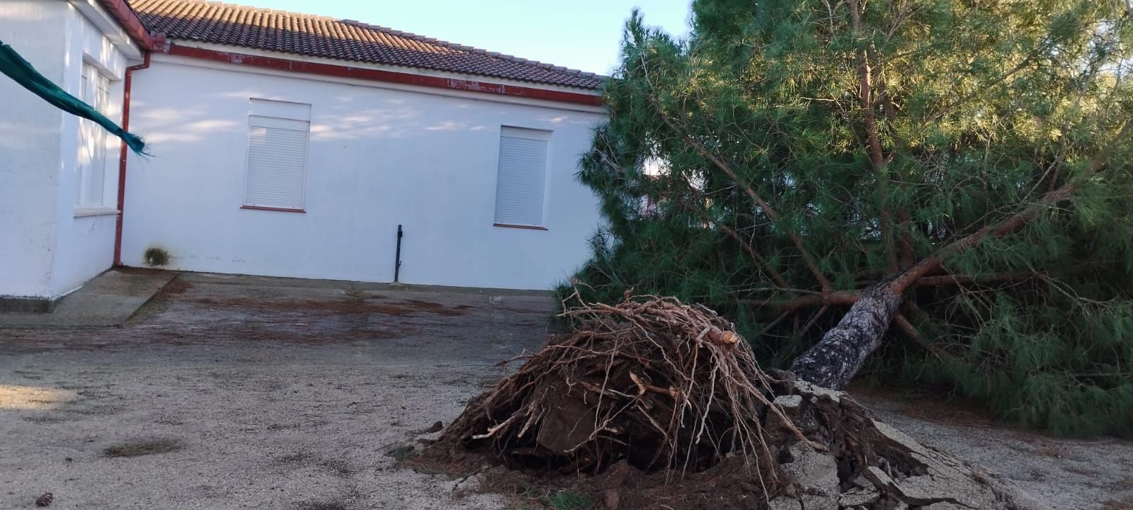 El temporal provoca diferentes incidencias