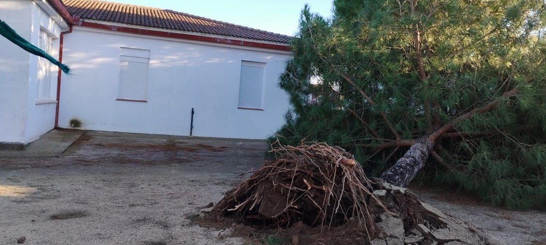 El temporal provoca diferentes incidencias