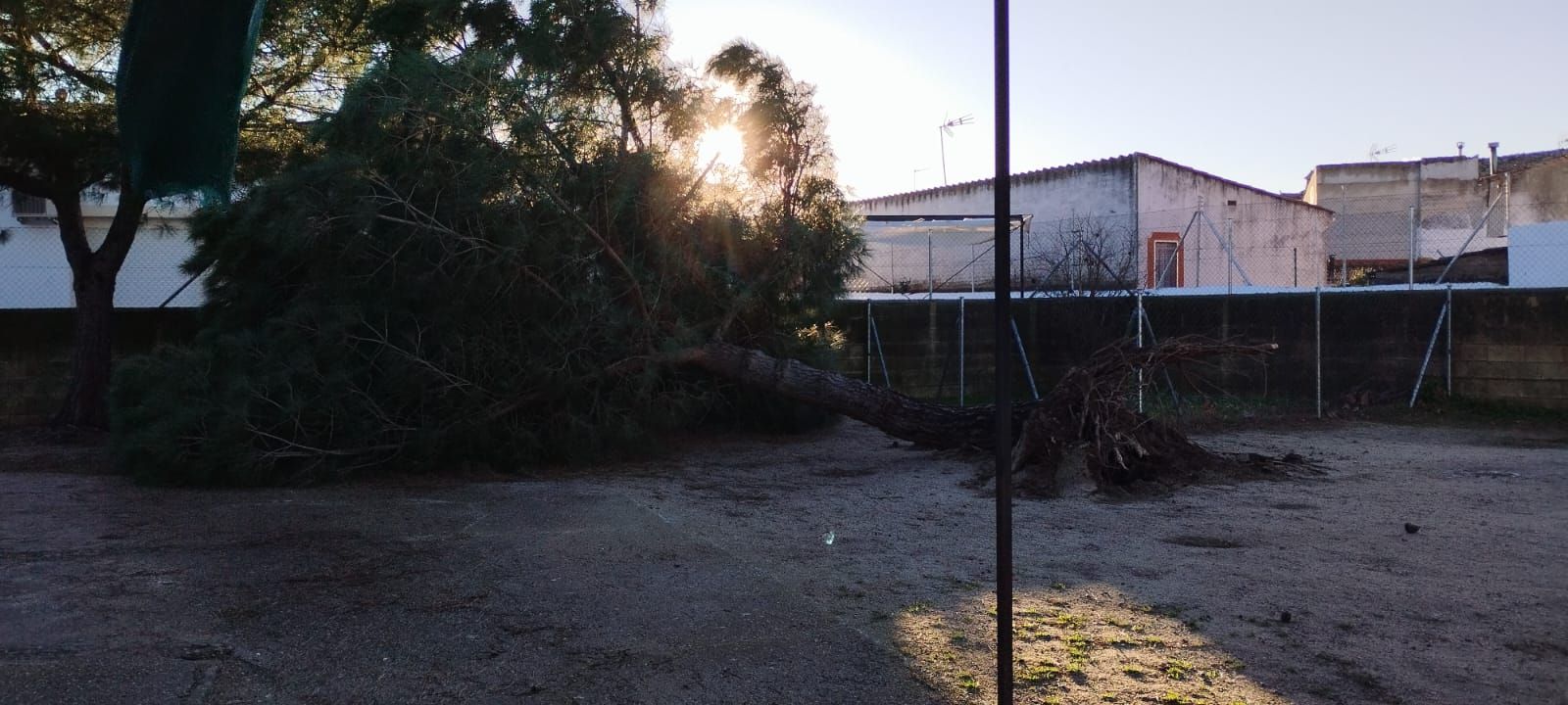 El temporal provoca diferentes incidencias