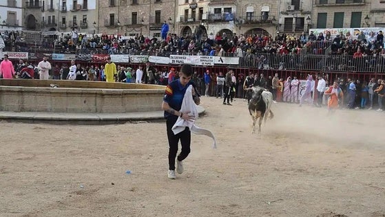 Los festejos taurinos de los Carnavales contarán con animales de seis ganaderías