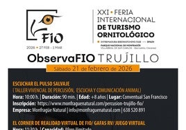La ciudad acoge 'Observa FIO' este sábado con diferentes propuestas