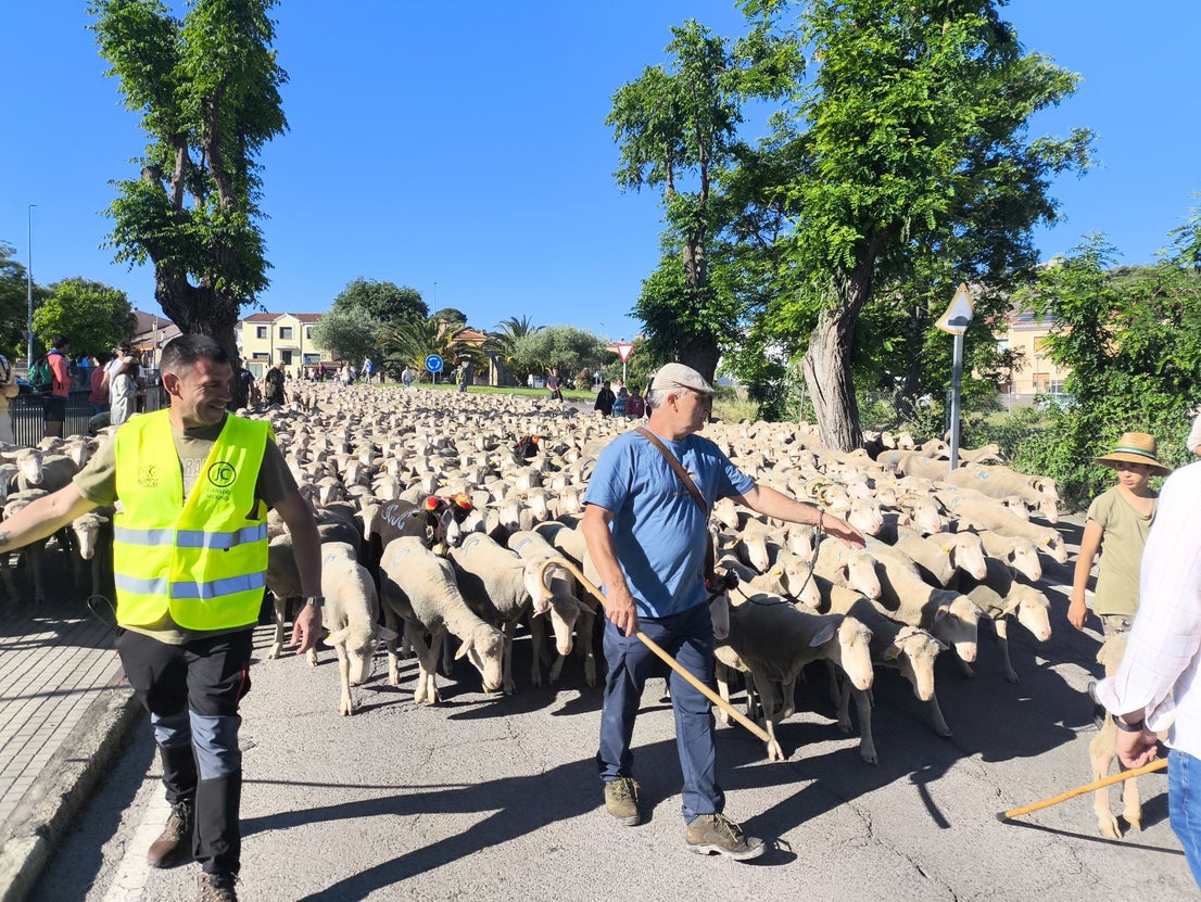 Una jornada dedicada a la trashumancia