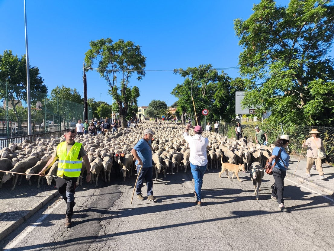 Una jornada dedicada a la trashumancia