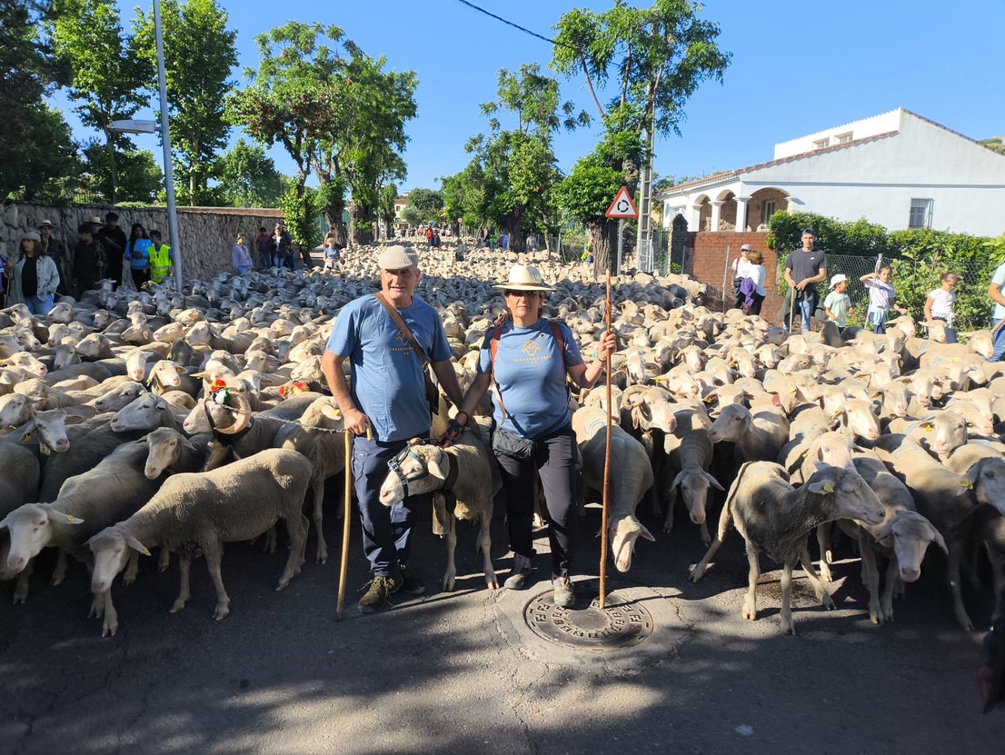 Una jornada dedicada a la trashumancia