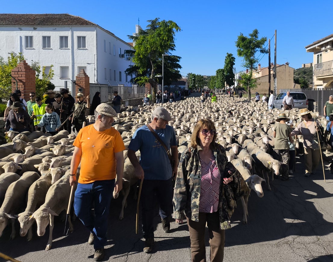 Una jornada dedicada a la trashumancia