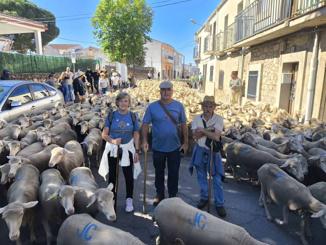 Una jornada dedicada a la trashumancia
