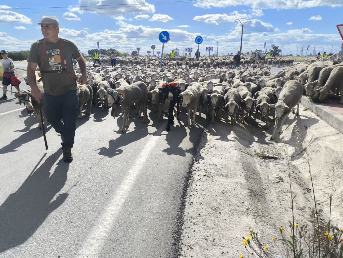 Una jornada dedicada a la trashumancia