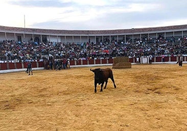 Una de las capeas de la edición pasasda.