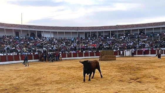 Una de las capeas de la edición pasasda.