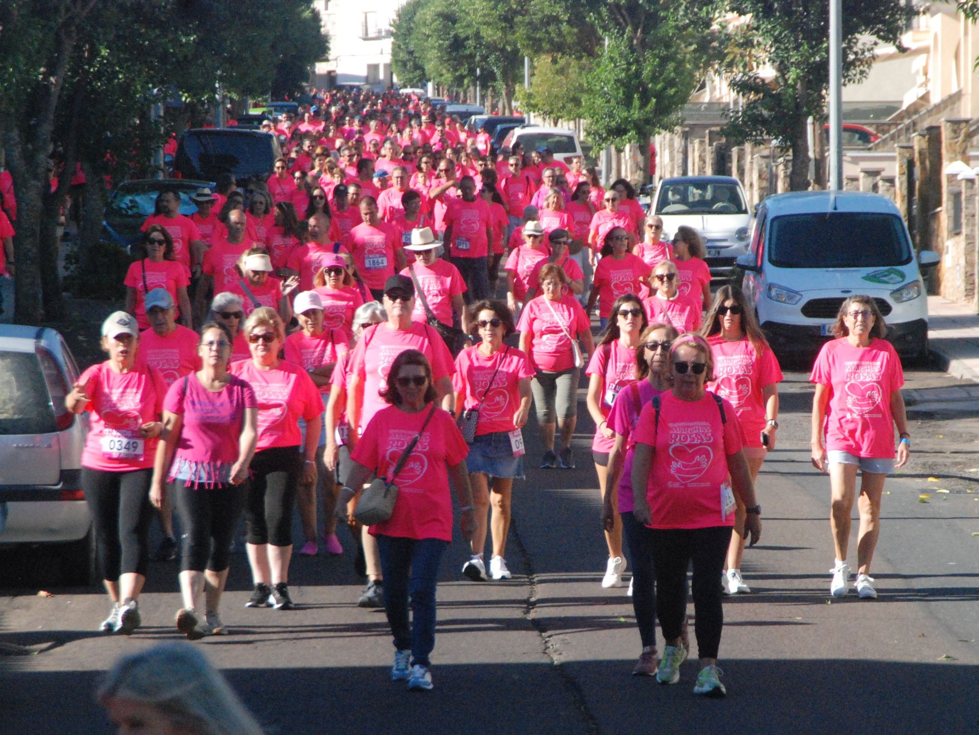 Imagen principal - La Marcha contra el Cáncer consigue 2.135 apoyos