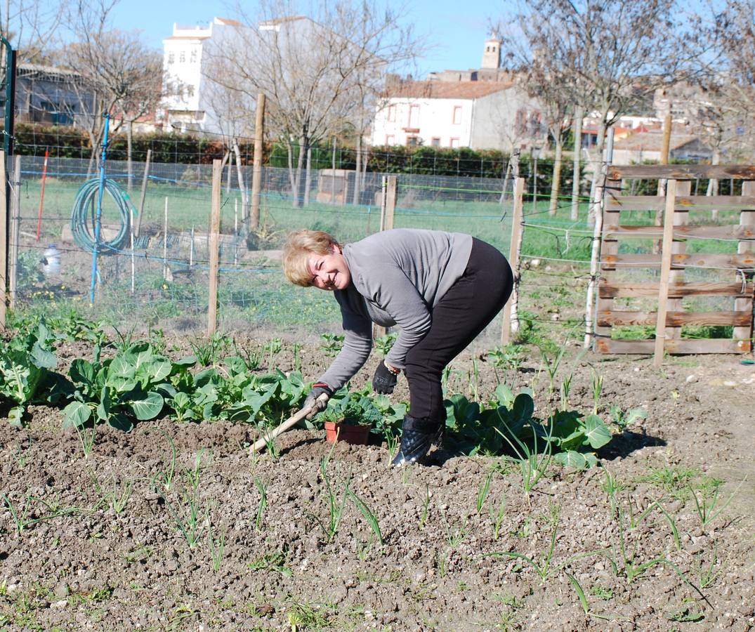 Pilar trabajando en su huerto de ocio 