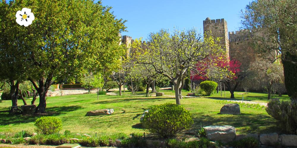El jardín de la Viña, Fesival del Paisaje