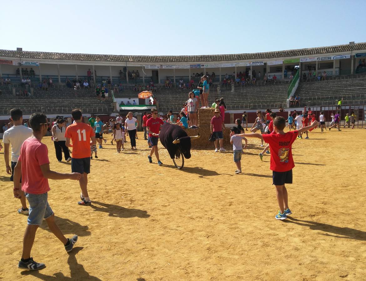 Los carretones en la plaza Mayor, con la capea para el público infantil 