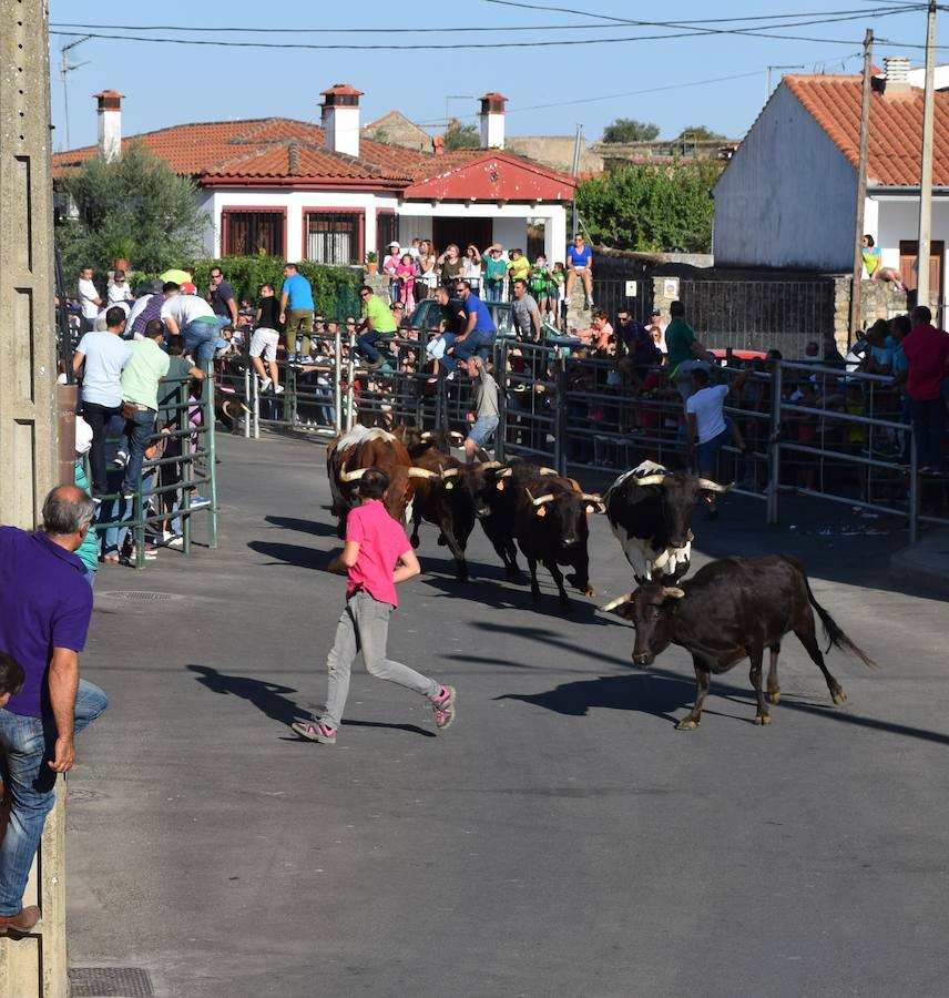 Encierro celebrado ayer con mucho público JSP