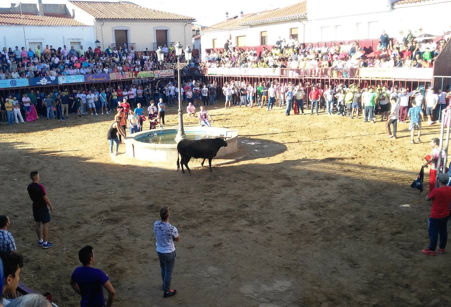 La capea celebrada el pasado sábado 