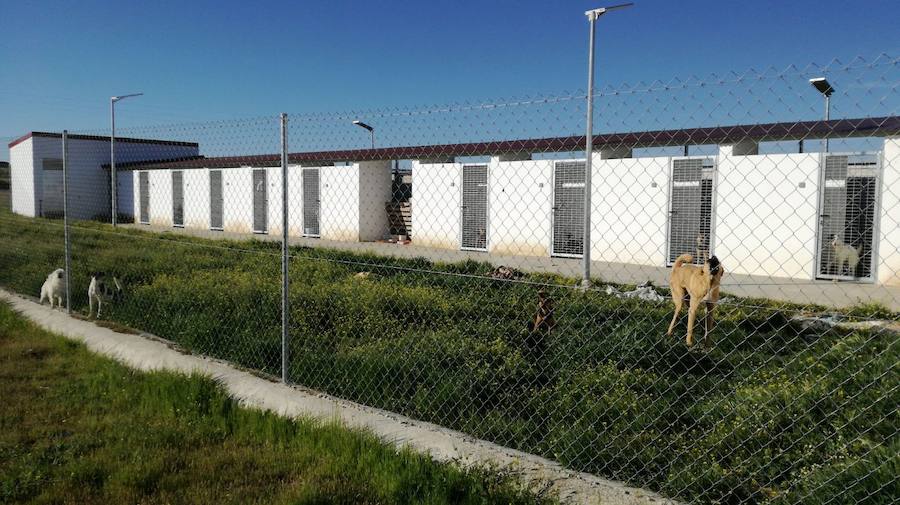 El nuevo 'Refugio Turgalium' quiere mantener convenios con los ayuntamientos de la comarca