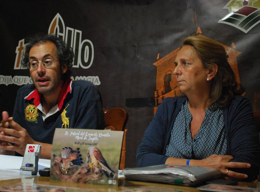 La ciudad volverá a celebrar el festival del cernícalo primilla
