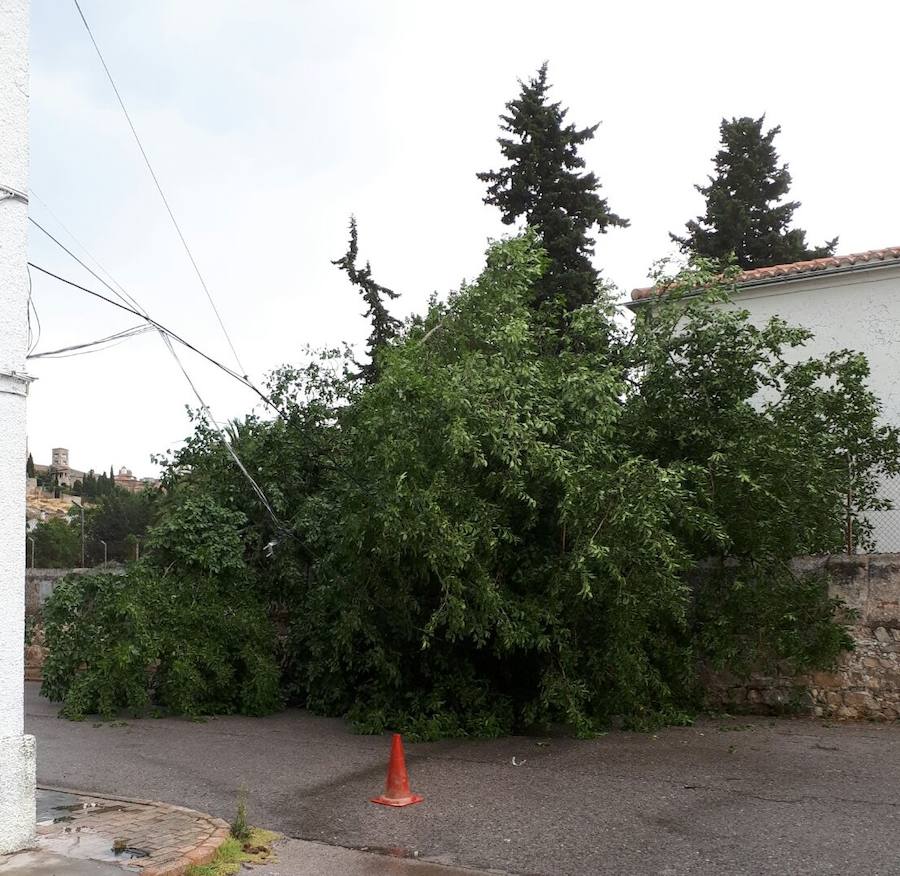 En las escuelas de la Carretera de Cáceres